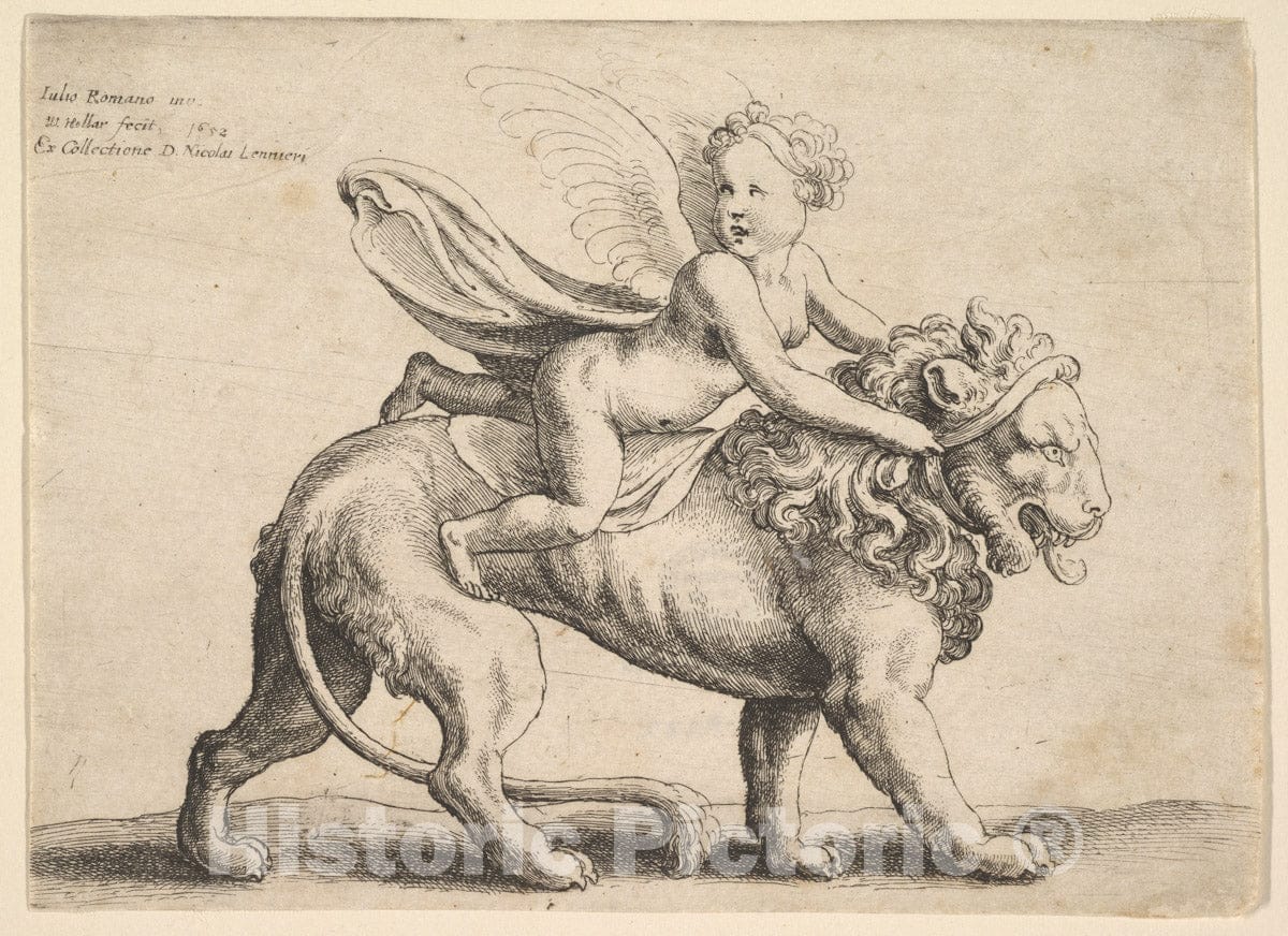 Art Print : Wenceslaus Hollar - Cupid on a Lion : Vintage Wall Art