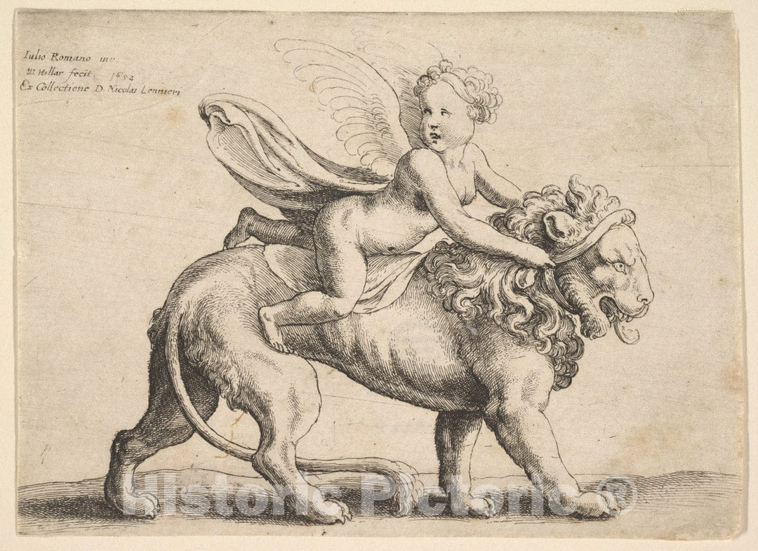 Art Print : Wenceslaus Hollar - Cupid on a Lion : Vintage Wall Art