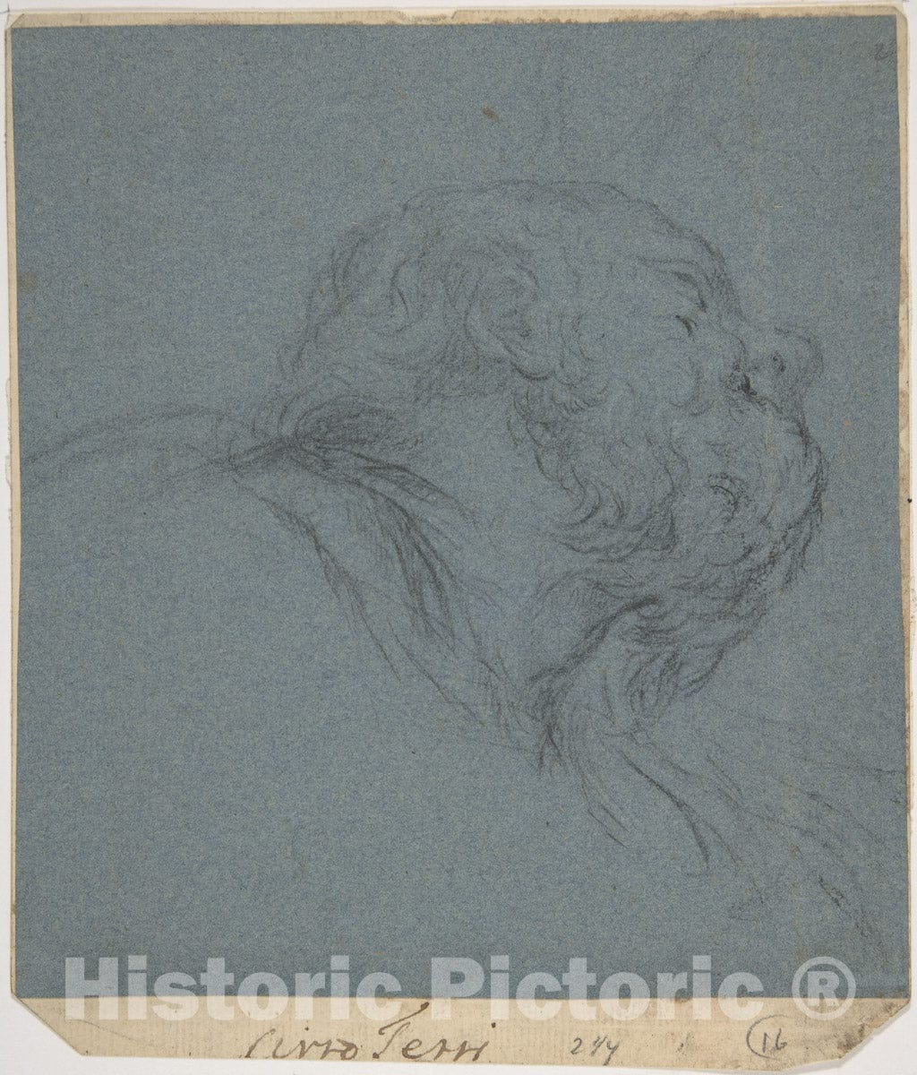 Art Print : Ciro Ferri - Head of a Bearded Man Looking to Upper Right : Vintage Wall Art