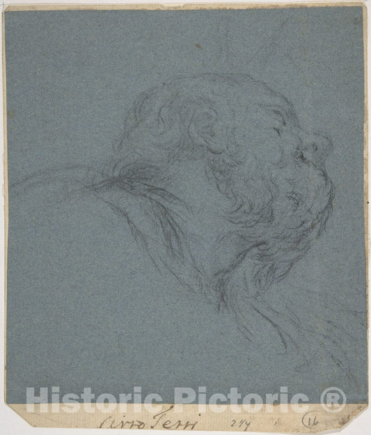 Art Print : Ciro Ferri - Head of a Bearded Man Looking to Upper Right : Vintage Wall Art