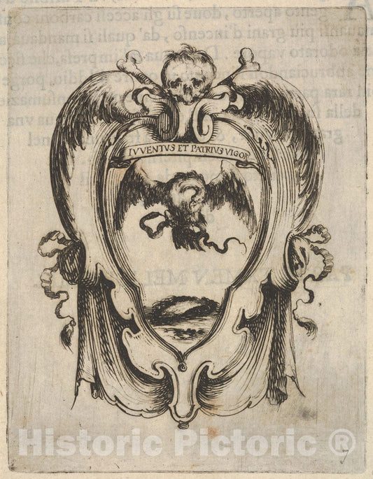 Art Print : A cartouche with an Eagle and a Snake - Artist: Stefano Della Bella - Created: c1640 : Vintage Wall Art
