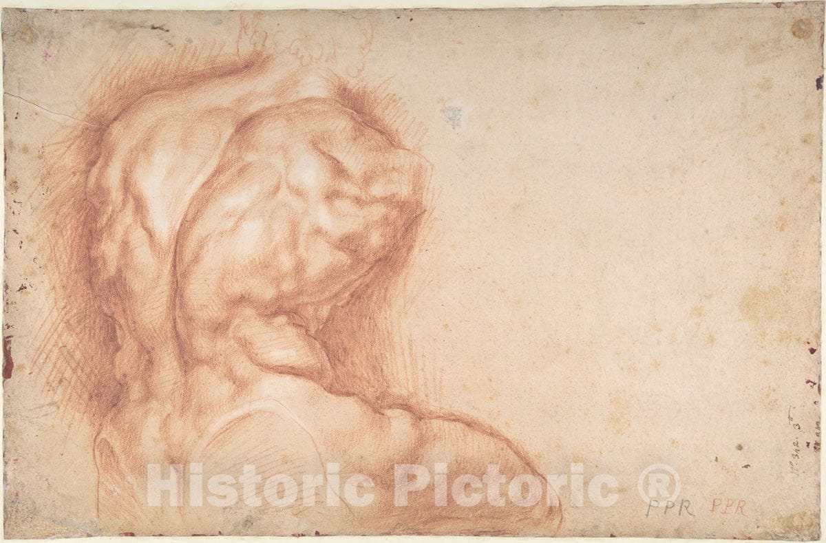 Art Print : Peter Paul Rubens - The Virgin Adored by Saints (Recto)