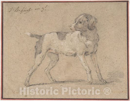 Art Print : Jean-Baptiste Huet I - Black and White Dog, Head Turned to The Left : Vintage Wall Art