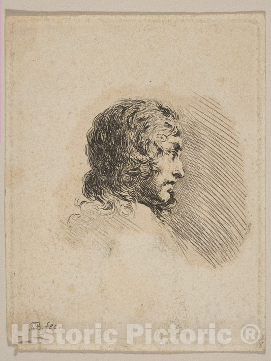 Art Print : Etched by Stefano Della Bella - Head of a Young Man in Profile, from 'Various Portraits' (Recueil de Diverses Piéces Servant à l'Art de Portraiture) : Vintage Wall Art