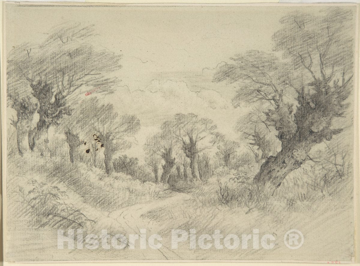 Art Print : John Constable - Young Pollards : Vintage Wall Art