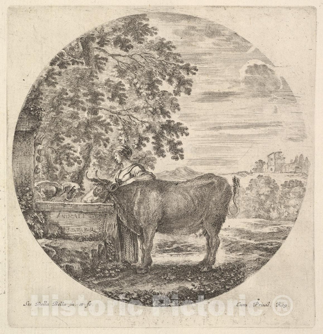 Art Print : A Cow in Center Drinking from a Fountain Adorned with The Medici Coat of arms - Artist: Stefano Della Bella - Created: c1643 : Vintage Wall Art