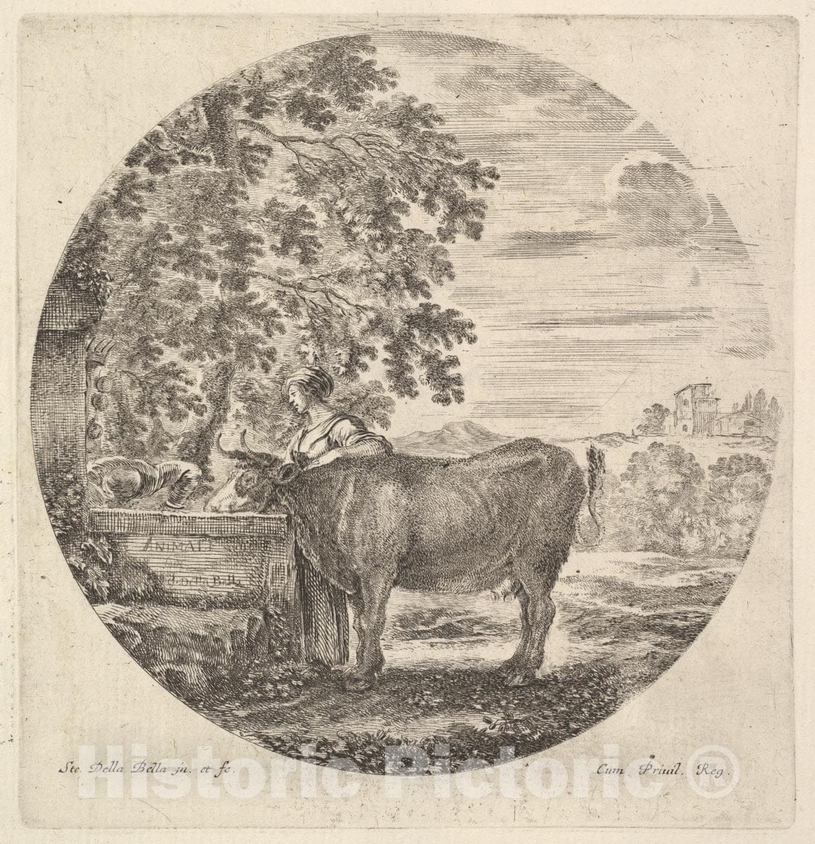 Art Print : A Cow in Center Drinking from a Fountain Adorned with The Medici Coat of arms - Artist: Stefano Della Bella - Created: c1643 : Vintage Wall Art
