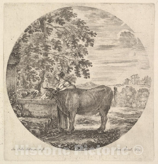 Art Print : A Cow in Center Drinking from a Fountain Adorned with The Medici Coat of arms - Artist: Stefano Della Bella - Created: c1643 : Vintage Wall Art
