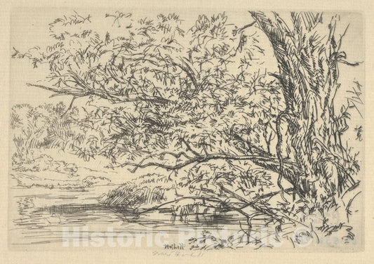 Art Print : Ernest Haskell - Willow and Water : Vintage Wall Art