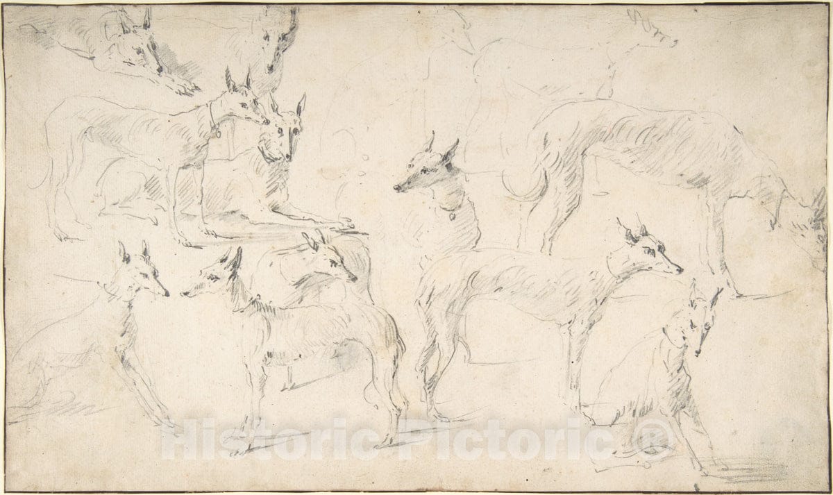 Art Print : David Teniers The Younger - Studies of Hounds : Vintage Wall Art