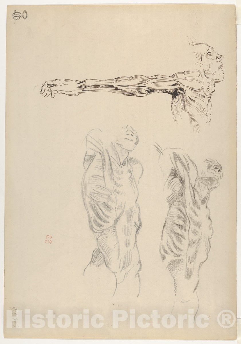 Dragable Image