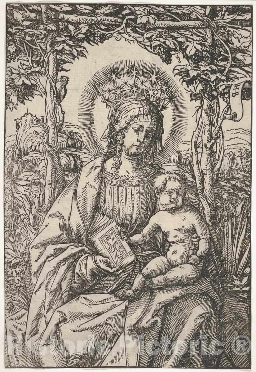 Art Print : Hans Burgkmair - The Virgin with a Book in an Arbor : Vintage Wall Art