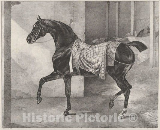 Art Print : Théodore Gericault - Black Horse Tethered in a Stable : Vintage Wall Art