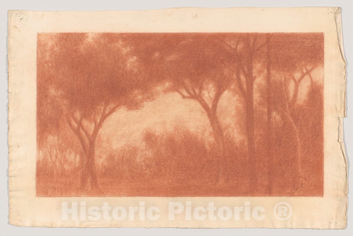 Art Print : Herbert E. Crowley - Forest Landscape with a Clearing : Vintage Wall Art