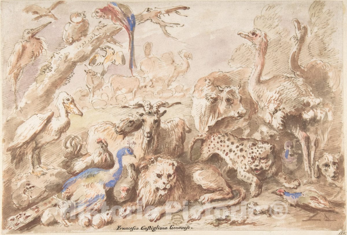 Art Print : Giovanni Francesco Castiglione - A Congress of Animals : Vintage Wall Art