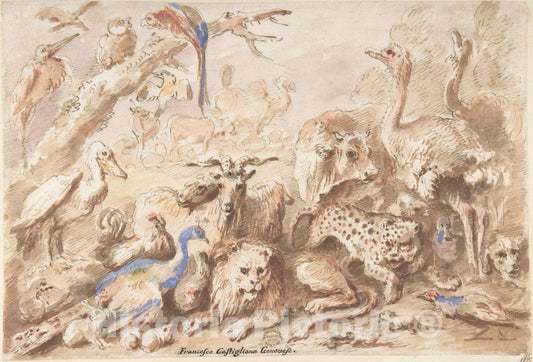 Art Print : Giovanni Francesco Castiglione - A Congress of Animals : Vintage Wall Art