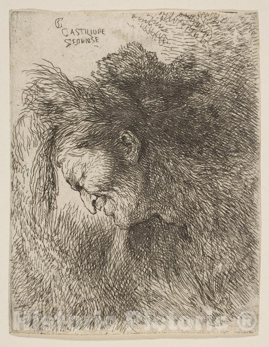 Art Print : Giovanni Benedetto Castiglione (Il Grechetto) - Head of an Old Man Looking Down, Facing Left 2 : Vintage Wall Art