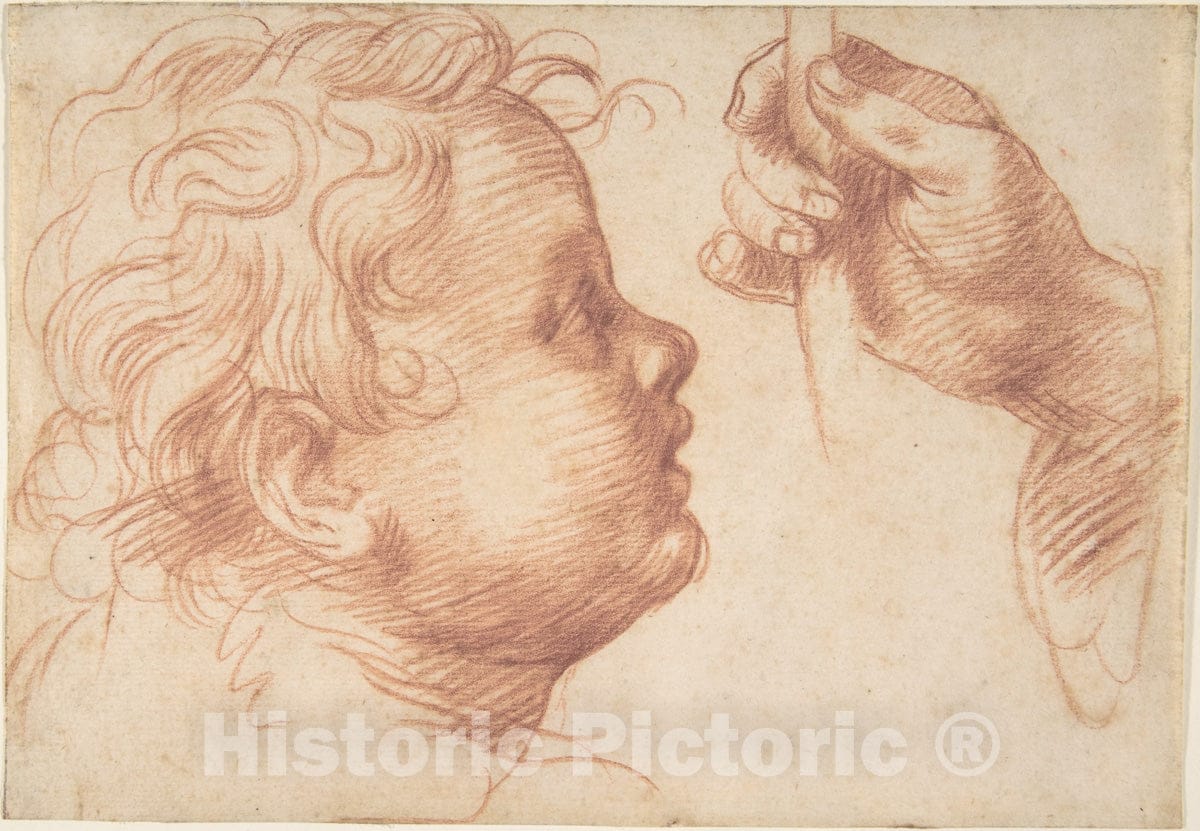 Art Print : Andrea del Sarto (Andrea d'Agnolo) - Studies of a Head and a Hand : Vintage Wall Art