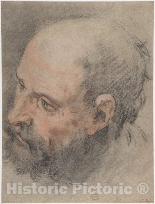 Art Print : François Le Moyne - Head of a Bearded Man Looking Left : Vintage Wall Art