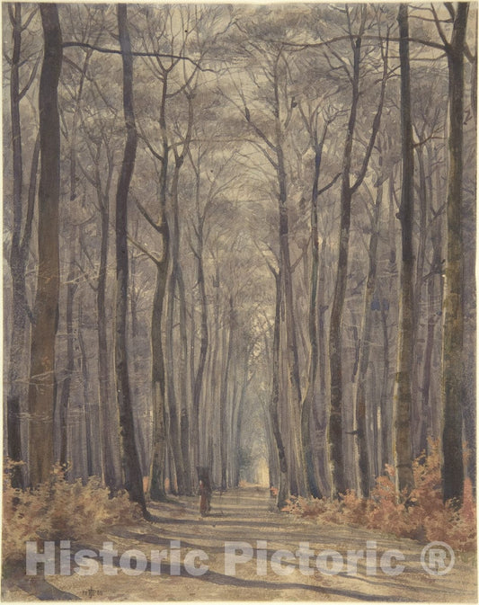 Art Print : Sir Edward John Poynter - an Allée in The Woods : Vintage Wall Art