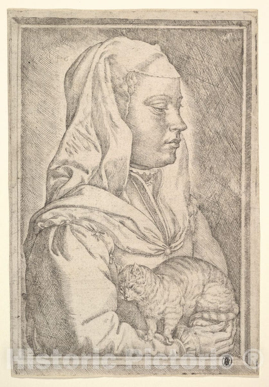 Art Print : Jan Cornelisz Vermeyen - Girl with a Cat : Vintage Wall Art