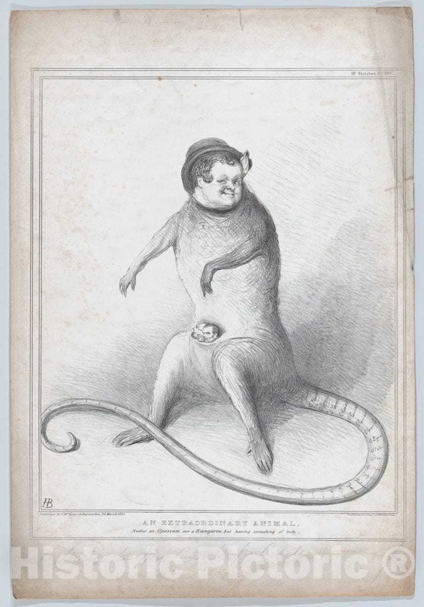 Art Print : John Doyle - an Extradordinary Animal. Neither an Opossum nor a Kangaroo but Having Something of Both : Vintage Wall Art