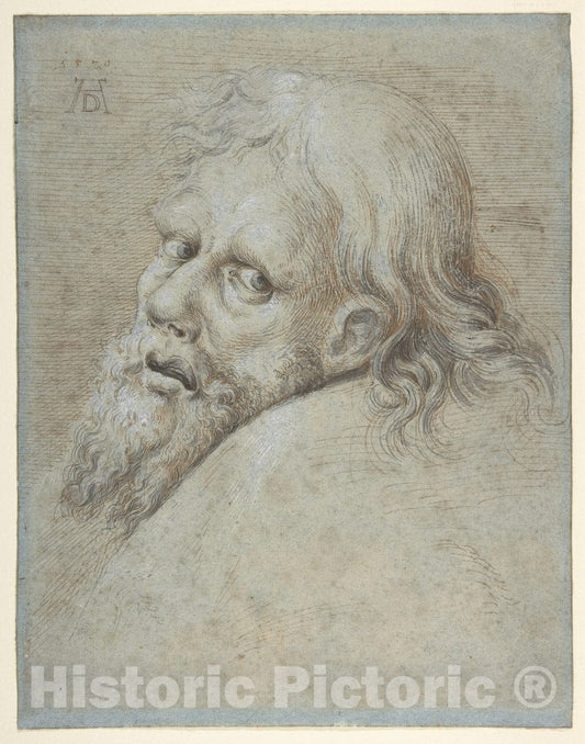 Art Print : Hans Hoffmann - Head of a Bearded Man : Vintage Wall Art