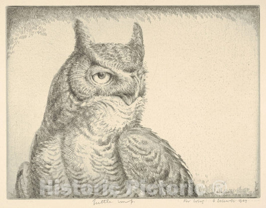 Art Print : Henry Emerson Tuttle - Horned Owl (Portrait Great Horned Owl) : Vintage Wall Art