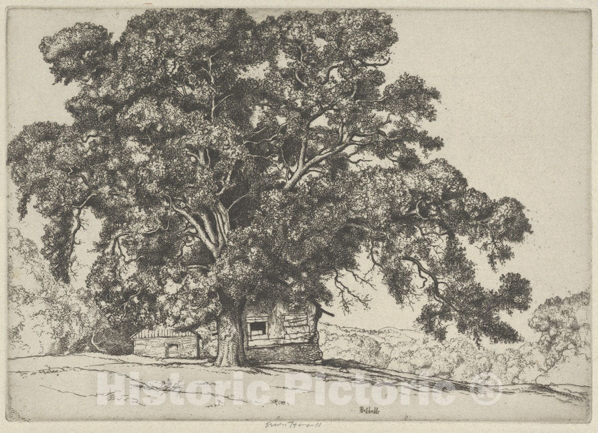 Art Print : Ernest Haskell - The Oak and The Adobe : Vintage Wall Art