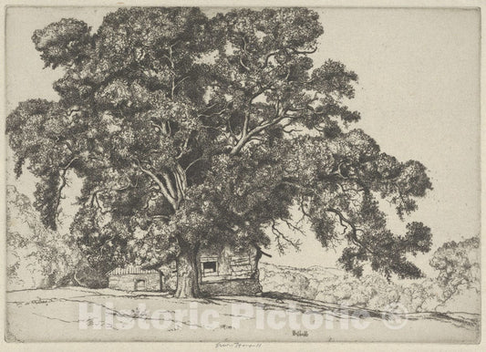 Art Print : Ernest Haskell - The Oak and The Adobe : Vintage Wall Art