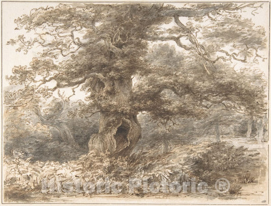 Art Print : Heneage Finch, 4th Earl of Aylesford - in The Park at Packington : Vintage Wall Art