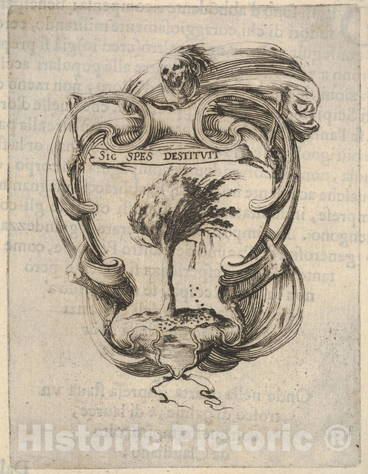 Art Print : A cartouche with a Tree Blowing in The Wind - Artist: Stefano Della Bella - Created: c1640 : Vintage Wall Art