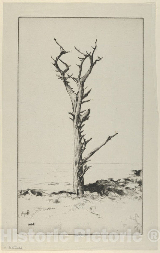 Art Print : Ernest Haskell - Solitude : Vintage Wall Art