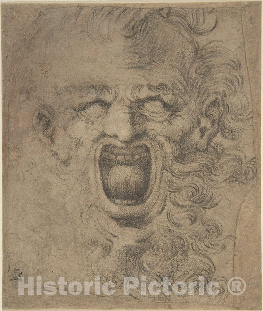 Art Print : Italian, 16th to 17th Century - Grotesque Head with Curly Beard : Vintage Wall Art