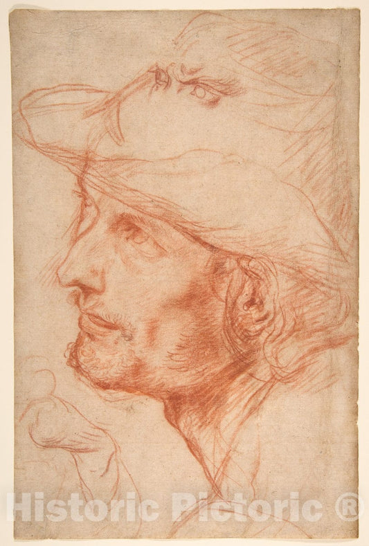 Art Print : Antonio d'Enrico Tanzio (Tanzio da Varallo) - Head of a Man : Vintage Wall Art