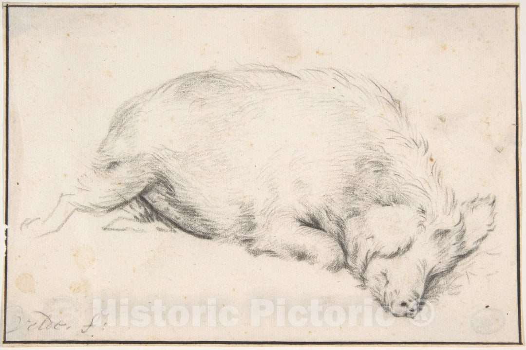 Art Print : Adriaen Van de Velde - A Sleeping Swine : Vintage Wall Art