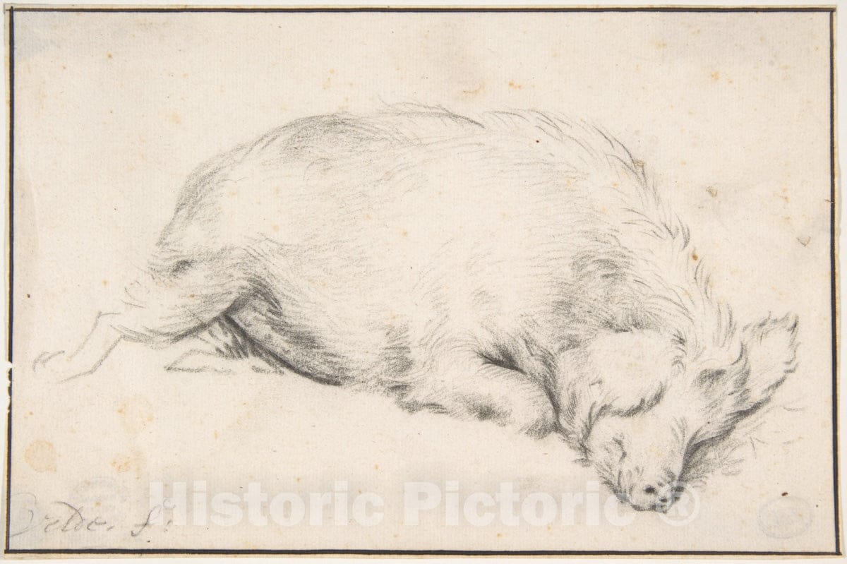 Art Print : Adriaen Van de Velde - A Sleeping Swine : Vintage Wall Art