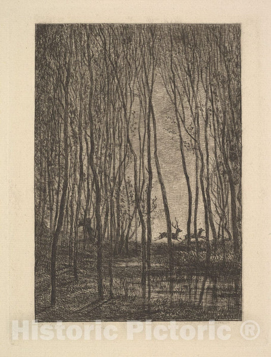Art Print : Charles-François Daubigny - Deer in The Woods : Vintage Wall Art