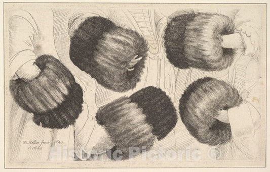 Art Print : Wenceslaus Hollar - A Muff in Five Views : Vintage Wall Art