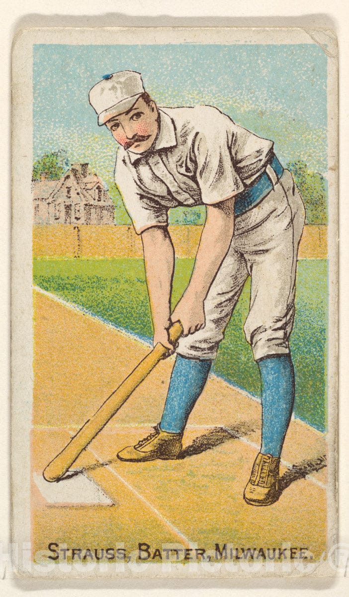 Art Print : D. Buchner & Co, New York - Strauss, Batter, Milwaukee, from The Gold Coin Series (N284) for Gold Coin Chewing Tobacco : Vintage Wall Art