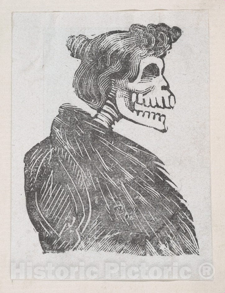 Art Print : Profile of a Female Skeleton with a Fur Vest - Artist: Jose Guadalupe Posada - Created: c1880 : Vintage Wall Art