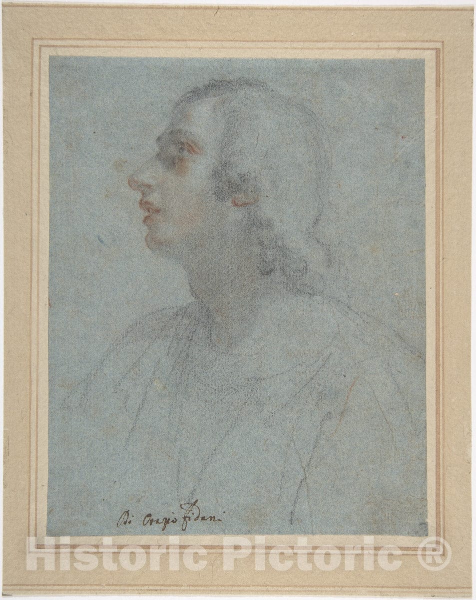 Art Print : Orazio Fidani - Bust of a Youth Looking to Upper Left (Recto)