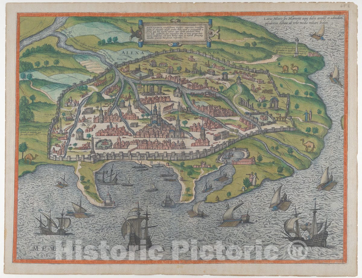 Art Print : Georg Braun - Map of Alexandria : Vintage Wall Art