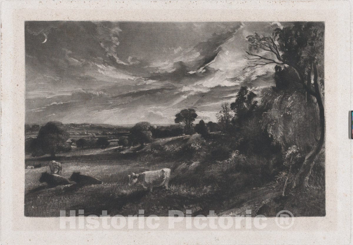 Art Print : David Lucas - Summer Evening - 429733 : Vintage Wall Art