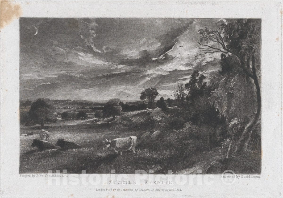 Art Print : David Lucas - Summer Evening - 429856 : Vintage Wall Art