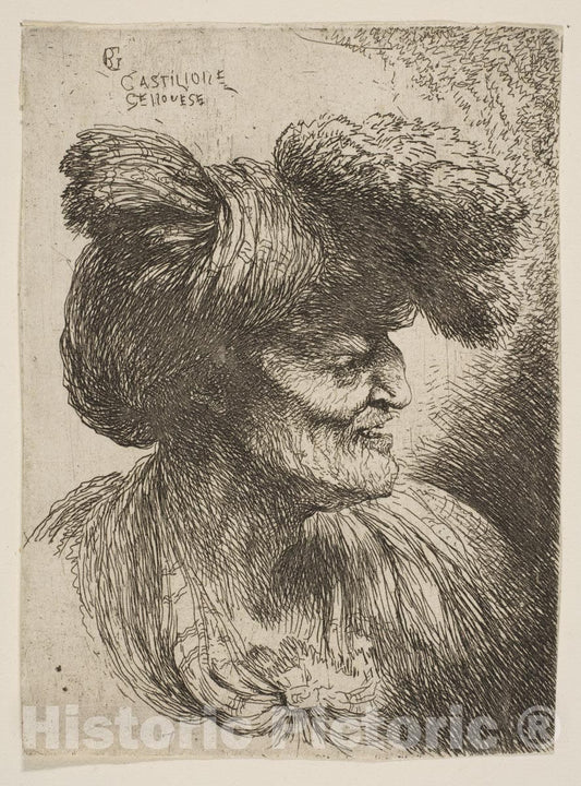 Art Print : Giovanni Benedetto Castiglione (Il Grechetto) - Head of a Very Old Man Facing Right : Vintage Wall Art