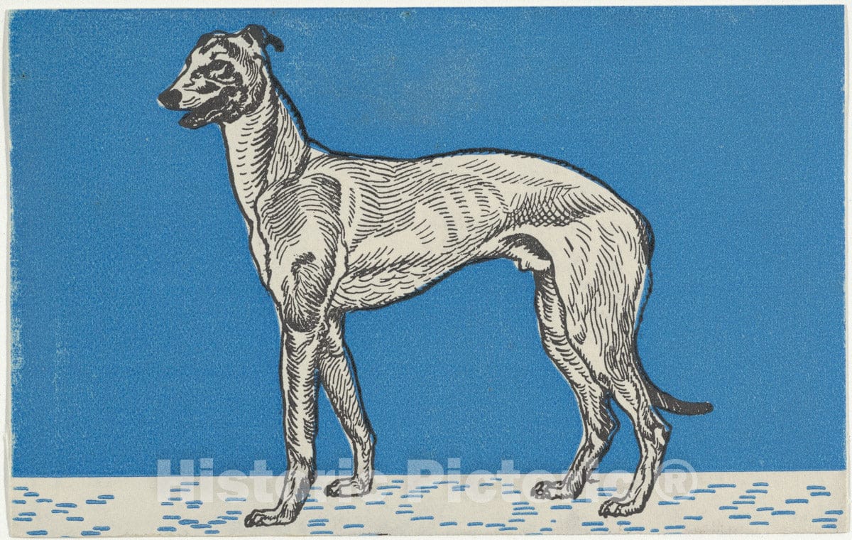 Dragable Image