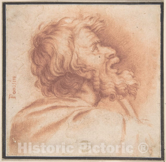 Art Print : Italian, Roman-Bolognese, 17th Century - Head of Bearded Old Man Shown in Profile, Looking Up : Vintage Wall Art