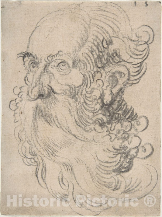Art Print : Hans Baldung (Called Hans Baldung Grien) - Head of a Bearded Old Man : Vintage Wall Art
