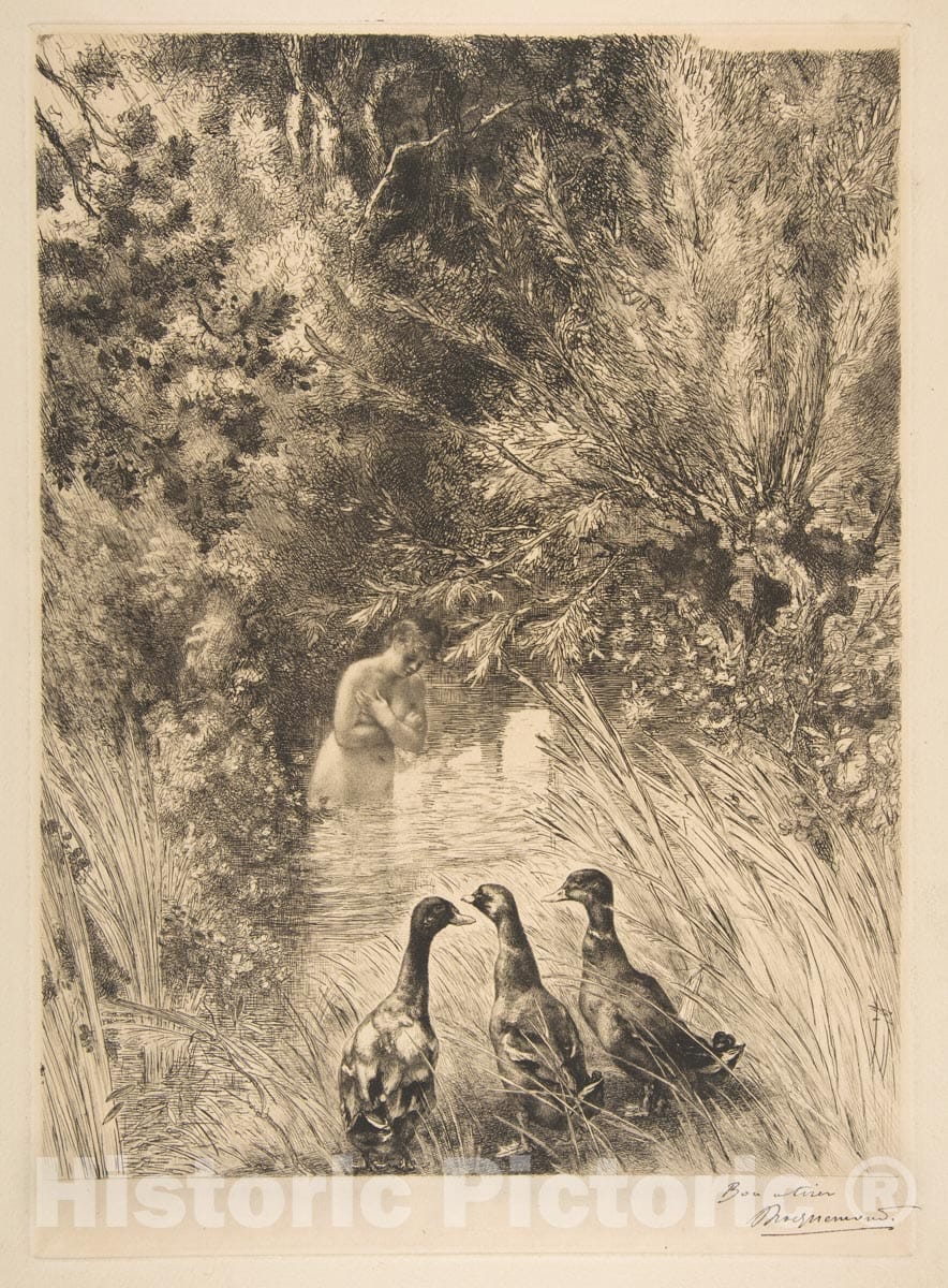 Art Print : Félix Bracquemond - Surprised Ducks : Vintage Wall Art